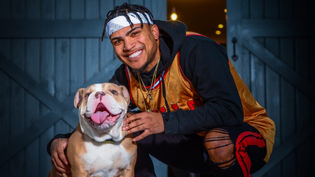 bulldog Residential Dog Training